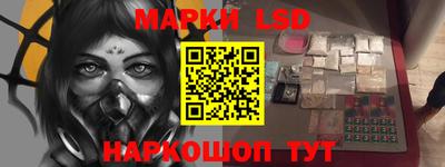 крисы Камышлов