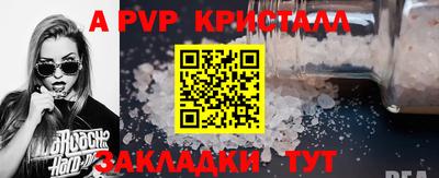 крисы Камышлов
