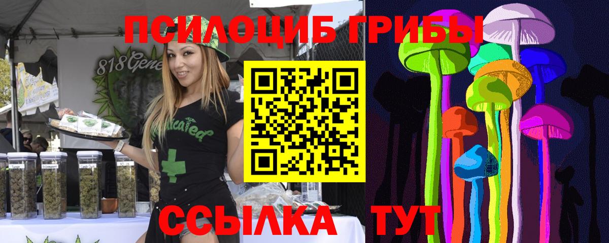 где купить наркоту  Псилоцибиновые грибы Magic Shrooms  Вход с VPN  Псилоцибиновые грибы мицелий  Кунгур 
