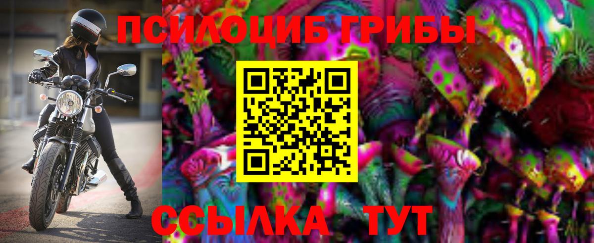 Галлюциногенные грибы мицелий Кунгур